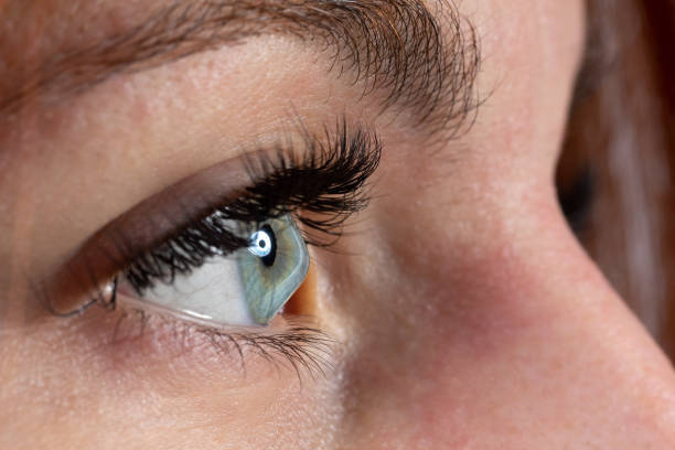 istockphoto 1447448404 612x612 1